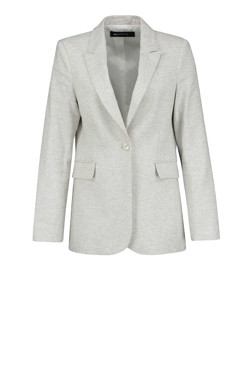 zilverkleurige blazer