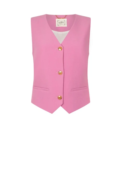 Aaiko alica gilet met logo knoopjes
