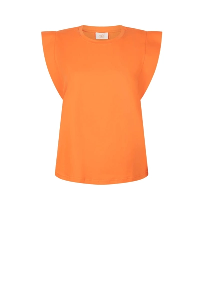 Aaiko cora t-shirt trendy kapmouw