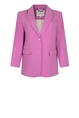 Aaiko larina blazer 2 knoops rever