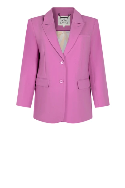 Aaiko larina blazer 2 knoops rever