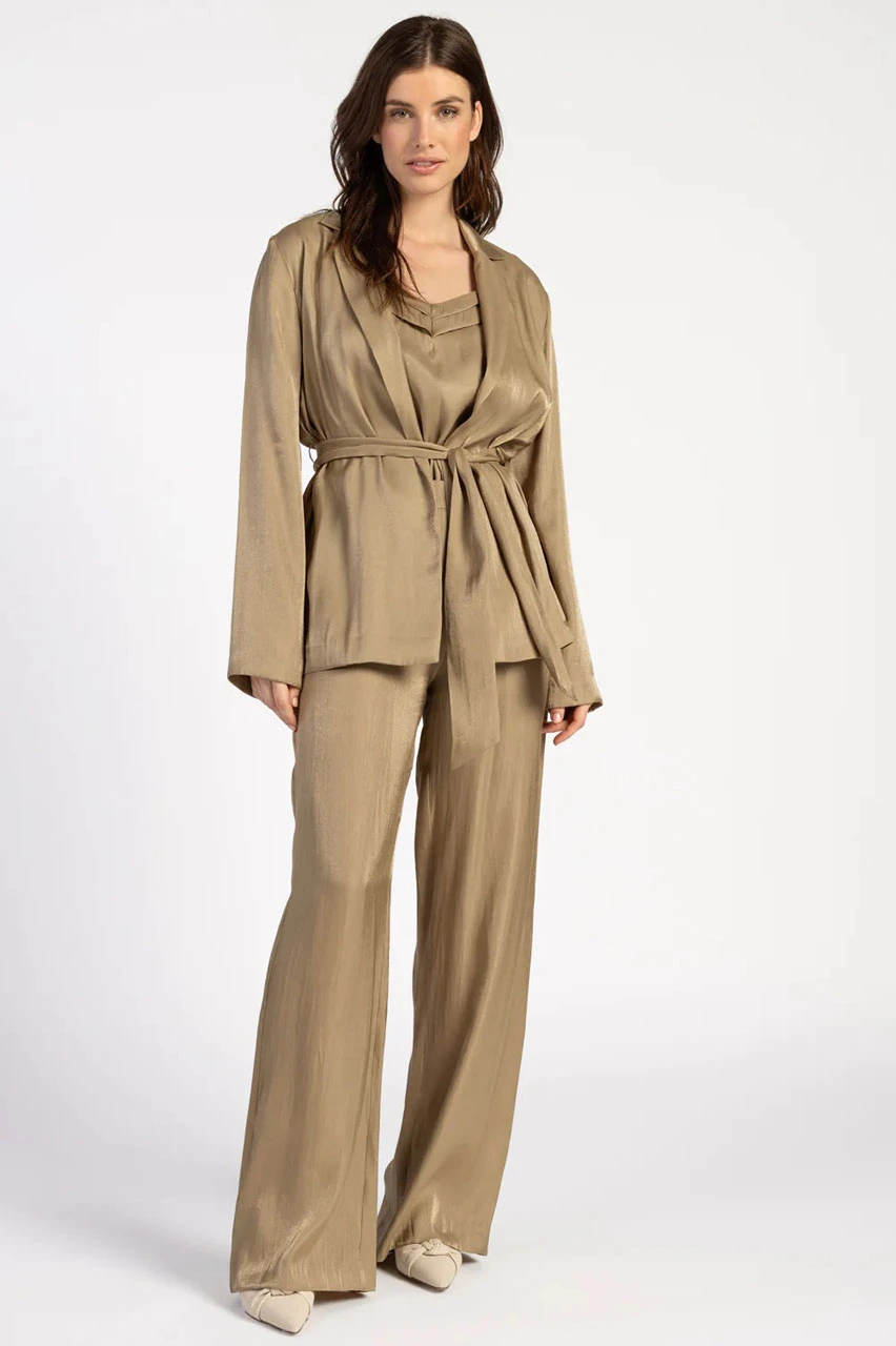 Shimmery blazer store