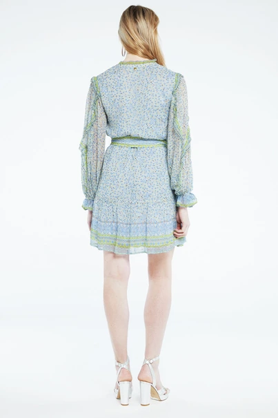 Fabienne Chapot adrienne dress mille fleur