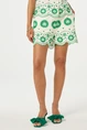 Fabienne Chapot breece shorts groen borduur