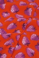 Fabienne Chapot coco blouse strawberry print