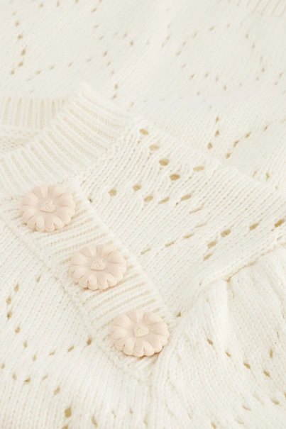 Fabienne Chapot diana pullover hartjes ajour