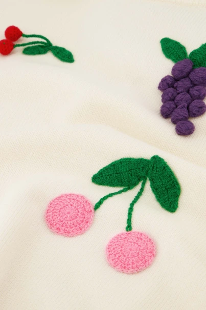 Fabienne Chapot fruity pullover borduur