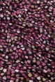 Fabienne Chapot kane top girl gang print mesh