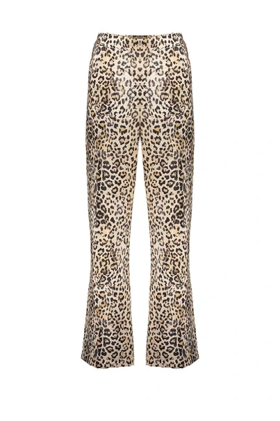 Geisha 51232-20 leopard print broek